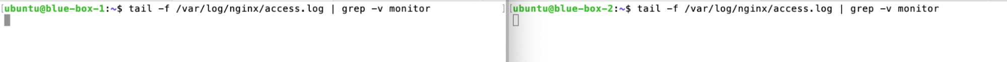 Painel da NNumbers Cloud, Load balancers: observe nos logs dos web-servers blue-box-1 e blue-box-2 que as