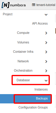 Painel da NNumbers Cloud, Banco de dados: no menu à esquerda, clique em Databases -> Backups