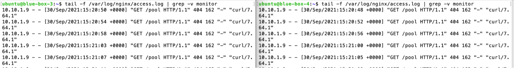 Painel da NNumbers Cloud, Load balancers: observe nos logs dos web-servers blue-box-3 e blue-box-4 que as