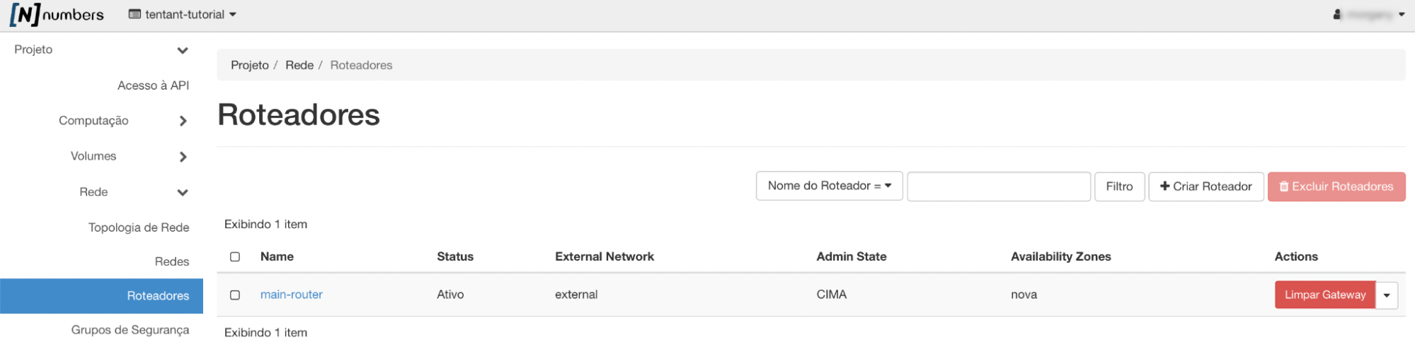 Painel da NNumbers Cloud, Roteadores: o próximo passo deve ser a inclusão das interfaces do roteador