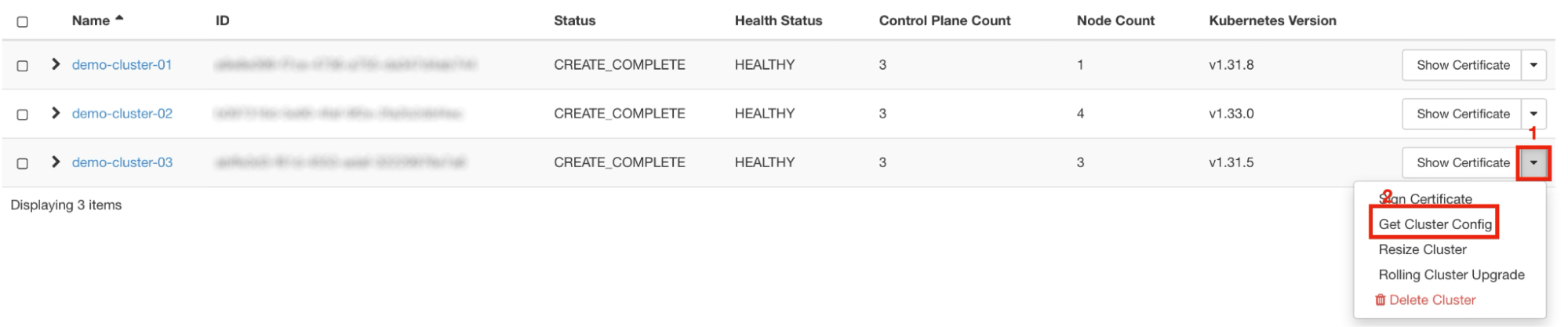 Painel da NNumbers Cloud, Container Infra (Kubernetes): através da opção Get Cluster Config