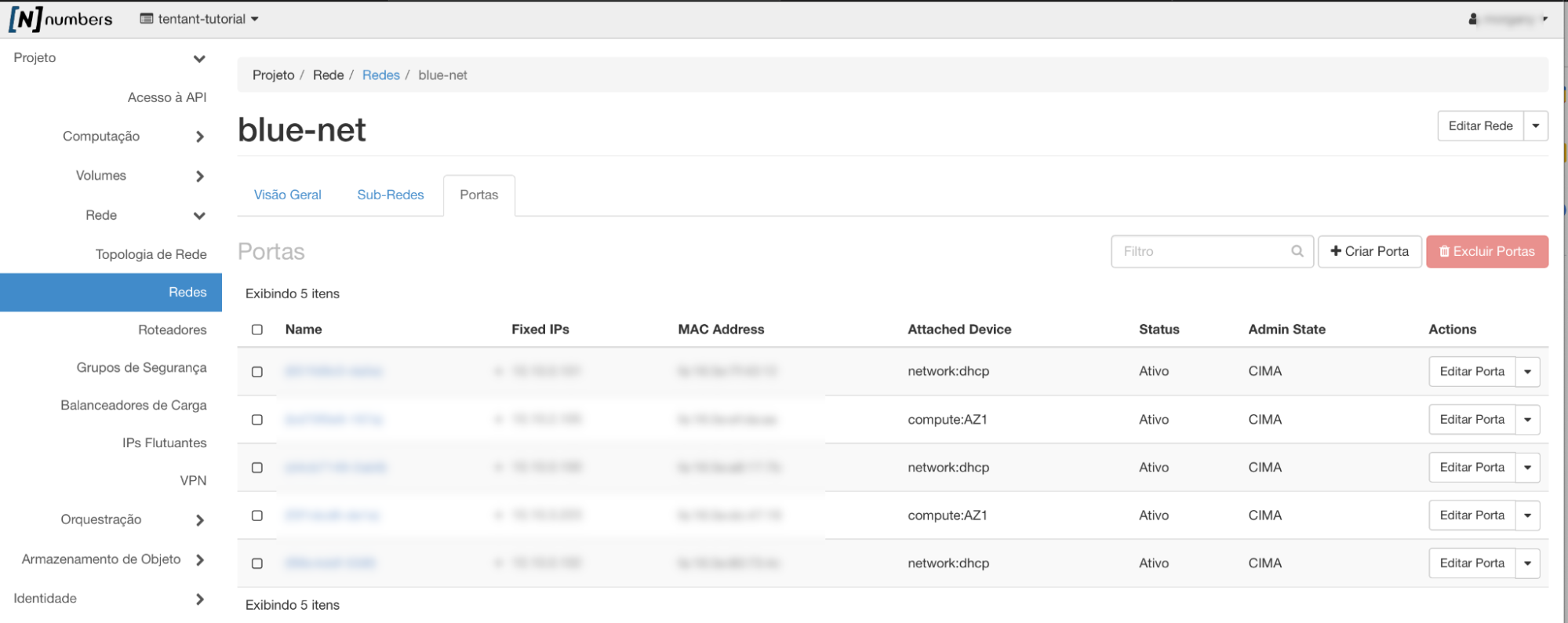 Painel da NNumbers Cloud, Redes: para excluir uma porta, pode-se tanto pelo botão 🔽 ao lado da caixa Editar