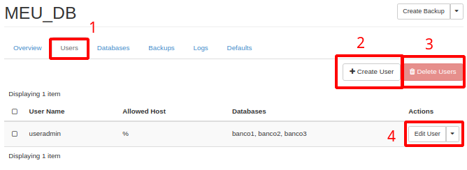 Painel da NNumbers Cloud, Banco de dados: ao acessar a instância desejada, no menu ao topo, clique em Users