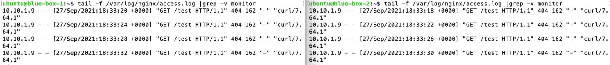 Painel da NNumbers Cloud, Load balancers: o comando |grep -v monitor filtra para não aparecer as chamadas