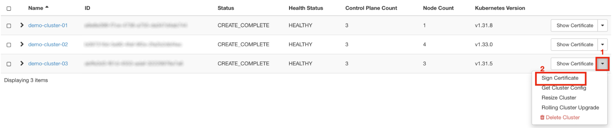 Painel da NNumbers Cloud, Container Infra (Kubernetes): no menu, clique em “Sign Certificate” (2)