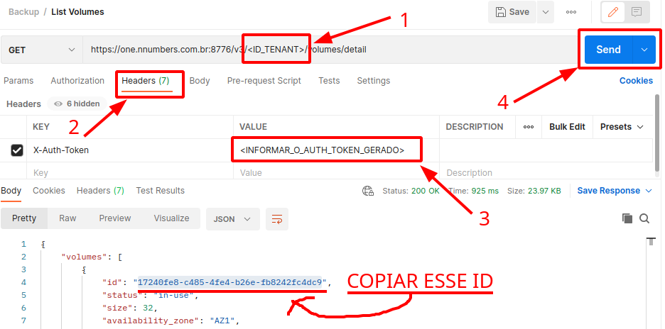 Painel da NNumbers Cloud, Volumes: antes de criar o backup, precisamos localizar o disco desejado