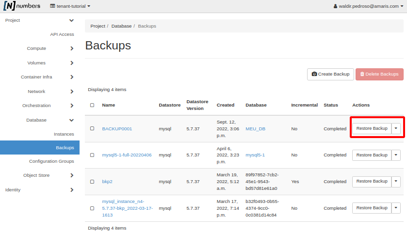 NNumbers Cloud console, Databases: in the list of backups created earlier, find the backup