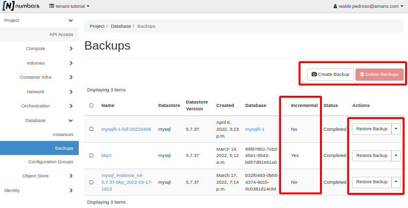 NNumbers Cloud console, Databases: the backups taken previously are listed