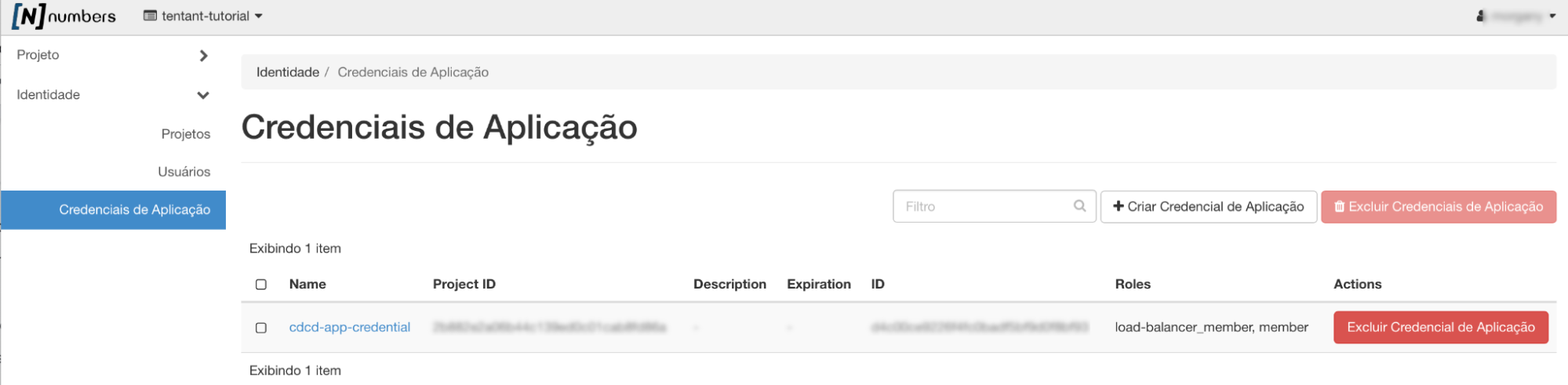 NNumbers Cloud console, Application credentials: to delete a credential, click the button next to it