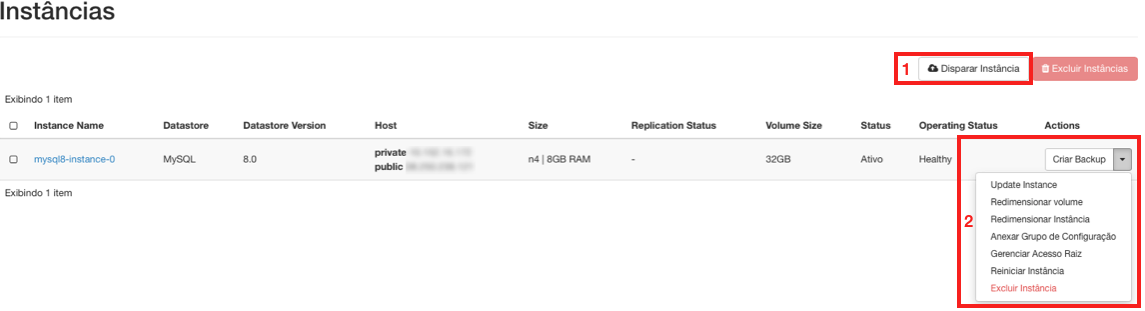 NNumbers Cloud console, Databases: the next screen lists the database instances created
