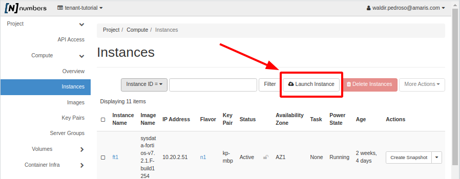 NNumbers Cloud console, Compute instances: to start creating the instance, click the button