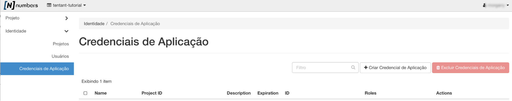 NNumbers Cloud console, Application credentials: to create an application credential, go to the menu